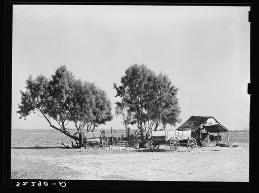 Edinburg (vicinity), Texas. Wagons and lean-to for houses on a small Mexican farm