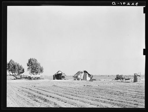 Farmstead of small Mexican farmer near Edinburg, Texas