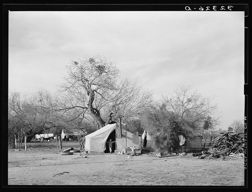 Camps of white migrant families in the mesquite near Harlingen, Texas