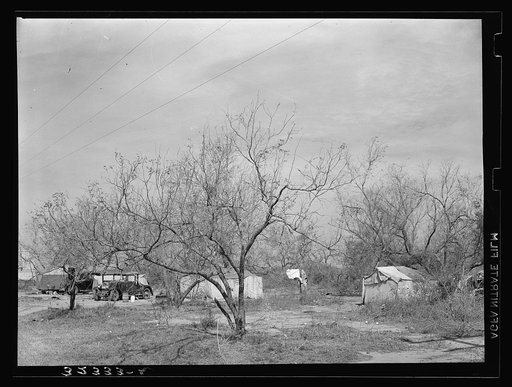 Camps of white migrants in the mesquite near Harlingen, Texas