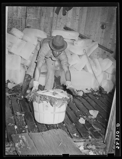 Baskets of spinach being slid into refrigerator car for shipping. La Pryor, Texas