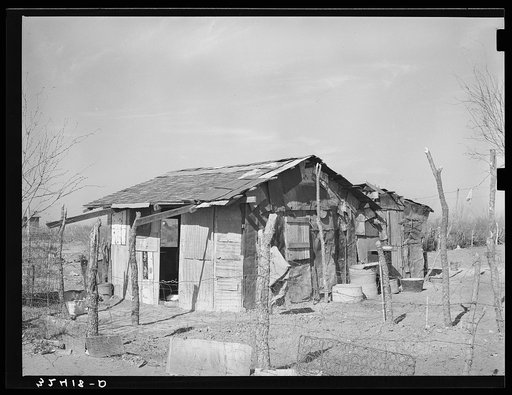 House of Mexican family. The house is made of scrap wood and metal sheeting. Crystal City, Texas
