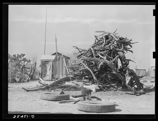 Cactus, privy and pile of wood. Crystal City, Texas. Mexican section