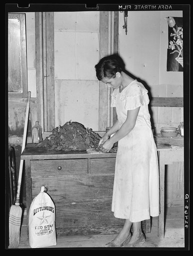 Mexican woman preparing spinach. San Antonio, Texas. The spinach was a part of her relief commodities