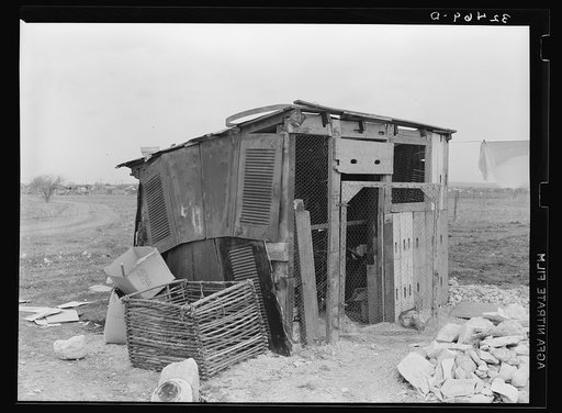 Chicken house made of old automobile parts, waste wood. San Antonio, Texas