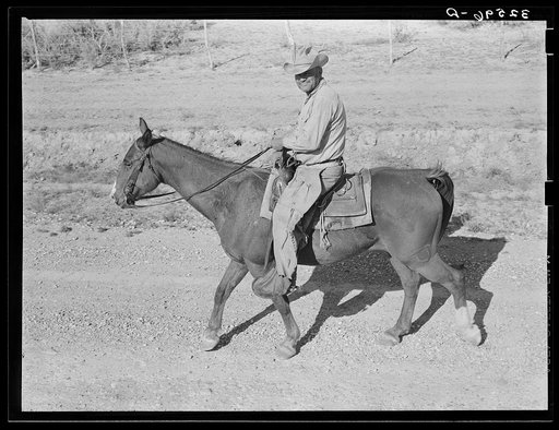 Cowboy on horseback near Eagle Pass, Texas