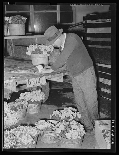 Flower peddler at the early morning market. San Antonio Texas