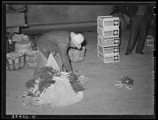 Mexican owner of small grocery store. He has visited the market in the early morning to buy his supplies for the day. San Antonio, Texas