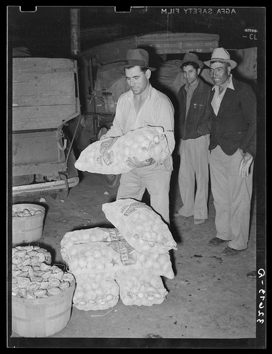 Stacking sacks of onions in front of commission house. Early morning market, San Antonio, Texas