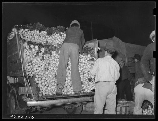 Unloading truck of turnips. Vegetable market, San Antonio, Texas
