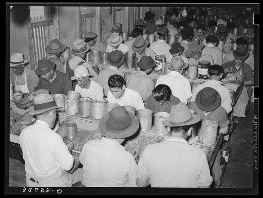Pecan shellers. Union plant. San Antonio, Texas