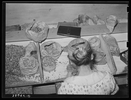 Separating meats from shells. Pecan shelling plant. San Antonio, Texas