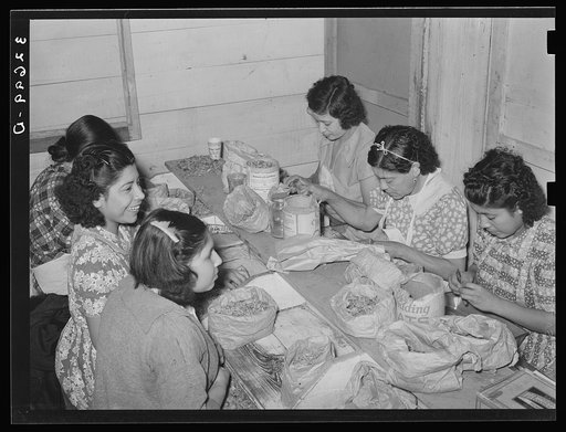 Untitled photo, possibly related to: Mexican women separating meat from shells. Pecan shelling plant. San Antonio, Texas