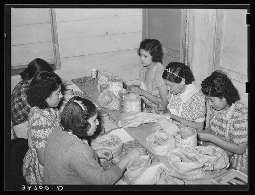 Mexican women separating meat from shells. Pecan shelling plant. San Antonio, Texas