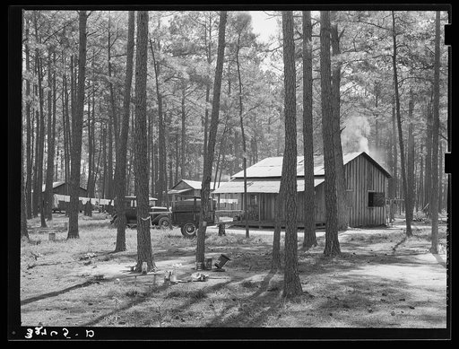 Group of houses in which white migrants were living. These migrants were working in the strawberry fields near Ponchatoula, Louisiana