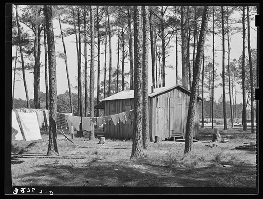 Group of houses in which white migrants were living. These migrants were working in the strawberry fields near Ponchatoula, Louisana