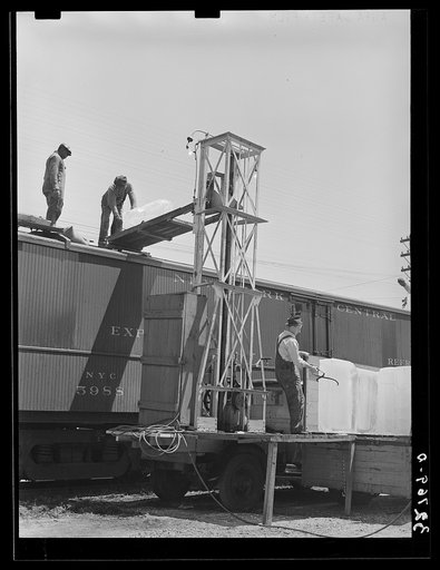 Icing refrigerator cars for shipment of strawberries. Hammond, Louisiana
