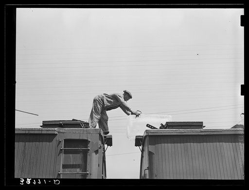 Icing refrigerator cars for shipment of strawberries. Hammond, Louisiana