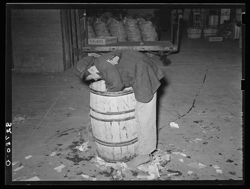 Mexican boy scavenger at early morning vegetable market. San Antonio, Texas