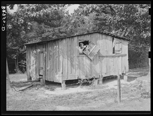 Quarters provided for Negro strawberry pickers. Hammond, Louisiana