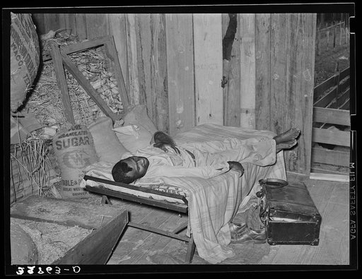 Negro migratory berry picker living in a corncrib near Hammond, Louisiana