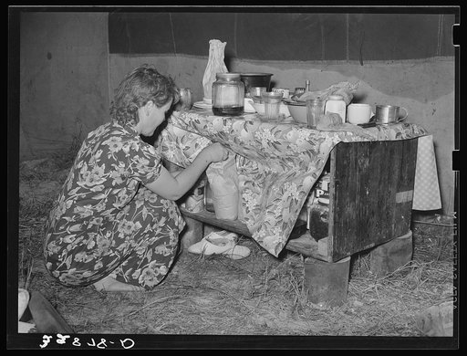 White migrant berry picker removing groceries from kitchen cabinet in tent near Hammond, Louisiana