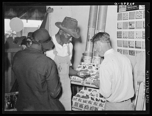Selecting seeds in hardware store. San Augustine, Texas