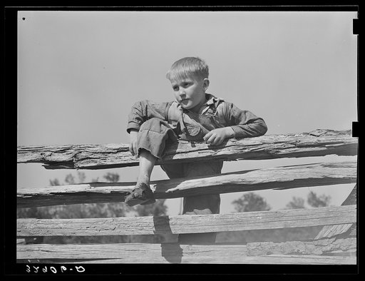 Farm boy resting on rail fence. San Augustine County, Texas