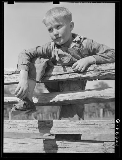Farm boy resting on rail fence. San Augustine County, Texas