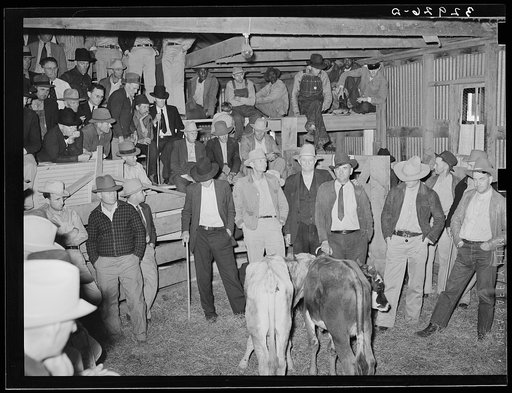 Scene in cattle auction sale. San Augustine, Texas