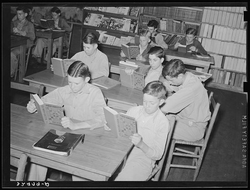Students in vocational agricultural class. High school, San Augustine, Texas