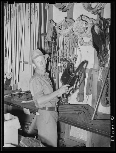Untitled photo, possibly related to: Farmer looking at halter in hardware store. San Augustine, Texas