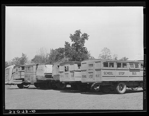 Lineup of school buses near Wells, Texas