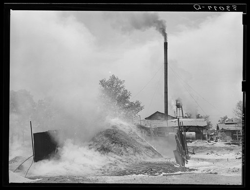 Burning pile of sawdust at sawmill at Wells, Texas