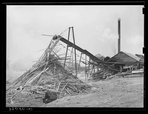 Sawmill and waste lumber pile being burned. Wells, Texas