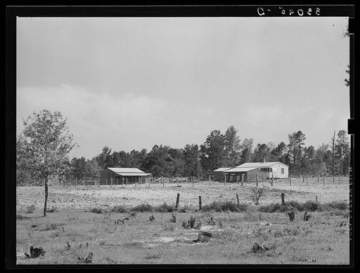 Typical farmstead. Sabine Farms, Marshall, Texas