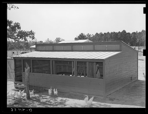 Chicken house of FSA (Farm Security Administration) client. Sabine Farms, Marshall, Texas