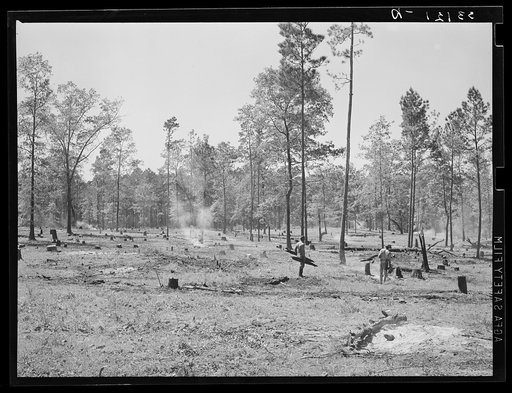 Clearing land. Sabine Farms, Marshall, Texas