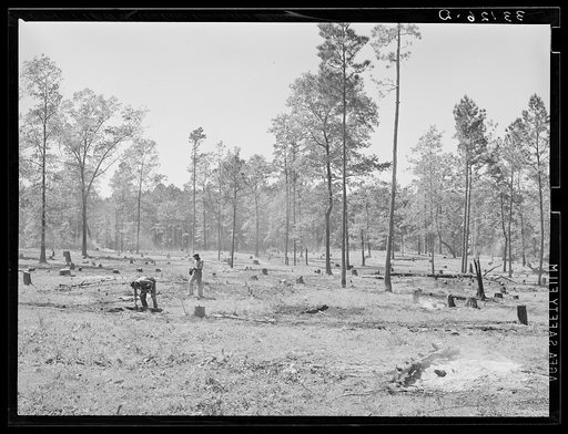 Clearing land. Sabine Farms, Marshall, Texas