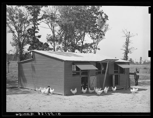 Exterior of chicken house. Sabine Farms, Marshall, Texas