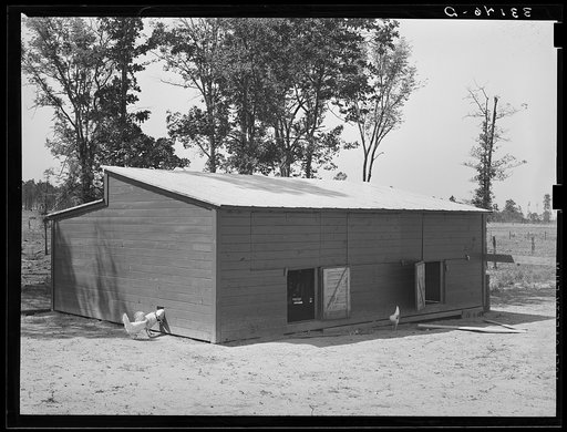 Untitled photo, possibly related to: Exterior of chicken house. Sabine Farms, Marshall, Texas