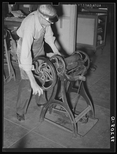 Removing excess moisture from leather by means of rollers. Leather must be moistened and tempered before being used and then excess liquid is pressed out. Bootmaking shop, Alpine Texas
