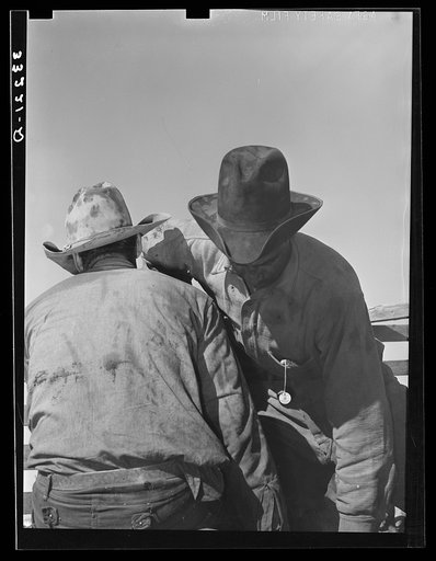 Untitled photo, possibly related to: Mexican boys branding a calf. Cattle ranch near Marfa, Texas