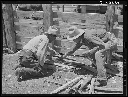 Mexican cowboys building the fire to heat the branding irons. Cattle ranch near Marfa, Texas