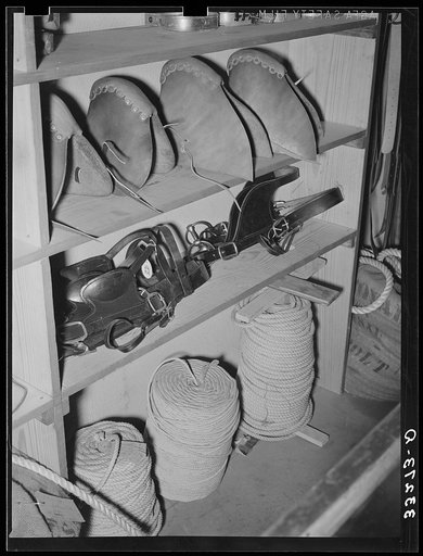Stirrups, halters and ropes in ranch supply store. Alpine, Texas