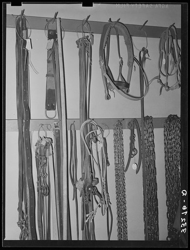 Cinch straps, bits, halters and chains in ranch supply store. Alpine, Texas