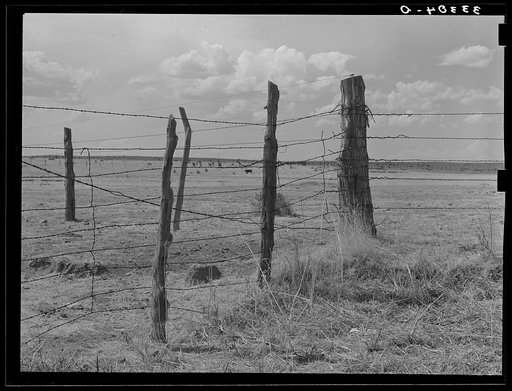 Fence construction on ranch near Marfa, Texas