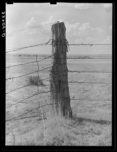 Corner post on barbed wire fence. Ranch near Marfa, Texas
