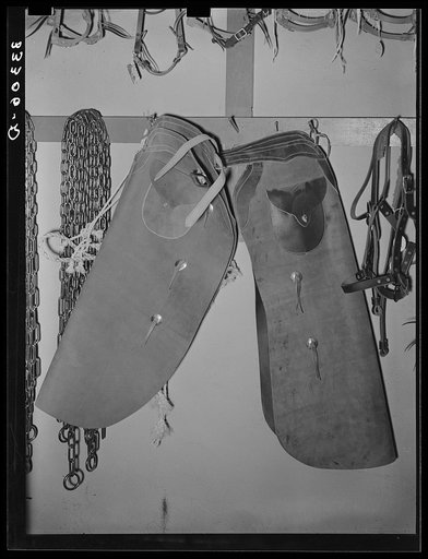 Cowboy chaps in ranch supply store. Alpine, Texas