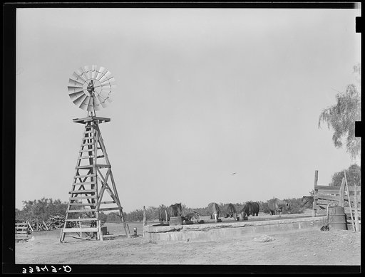 Windmill and watering trough on SMS Ranch near Spur, Texas